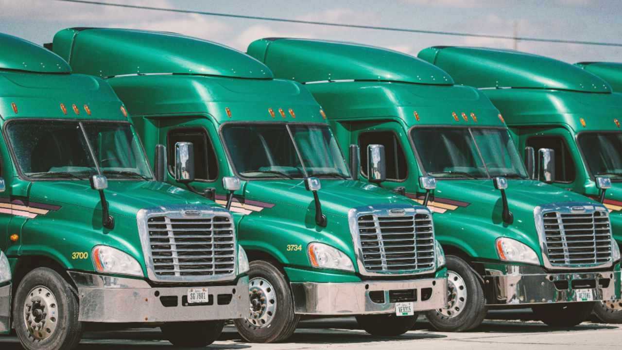 Green semi-trucks lined up side by side on a bright parking lot
