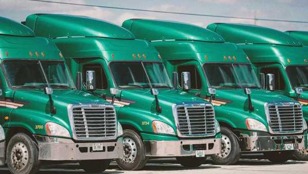 Green semi-trucks lined up side by side on a bright parking lot